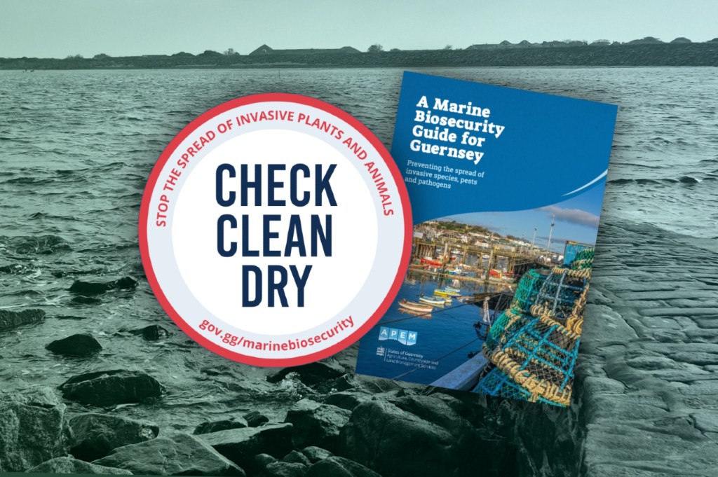 BailiwickExpress - Guernsey Edition - Bailiwick Express News Guernsey