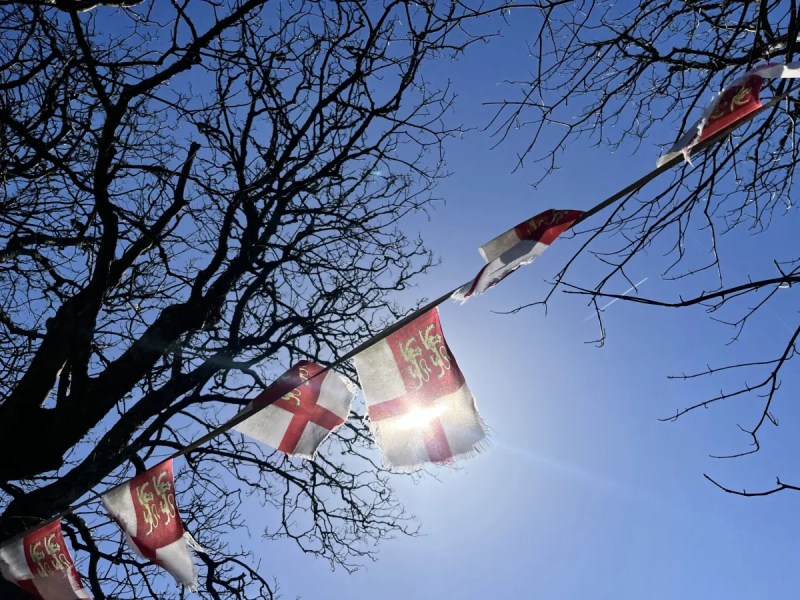 Sark flags in a tree on a sunny day.