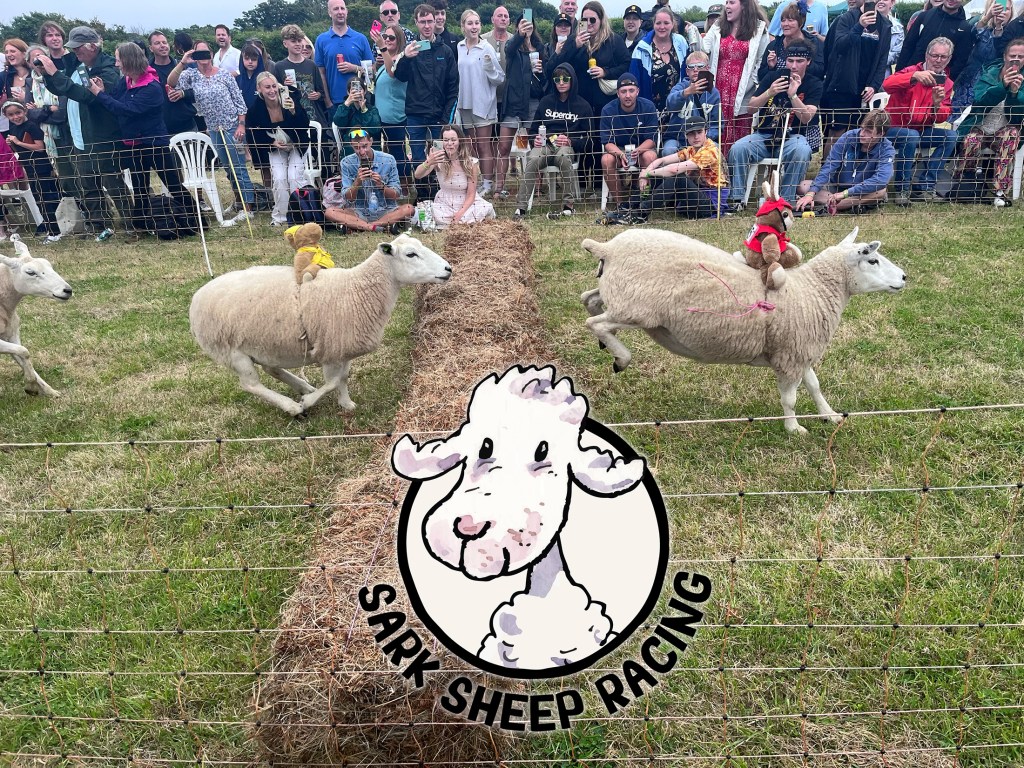 Several sheep with testy bears tied to their back jump over a hay bail in a grassy field, as spectators watch on. A Sark Sheep Racing logo with an illustrated sheep sits over the top.