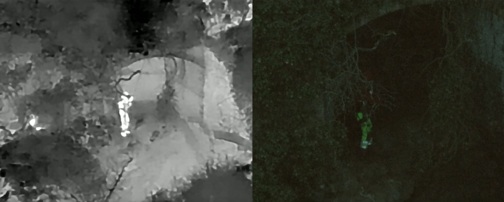 Thermal and night-vision images from a drone.