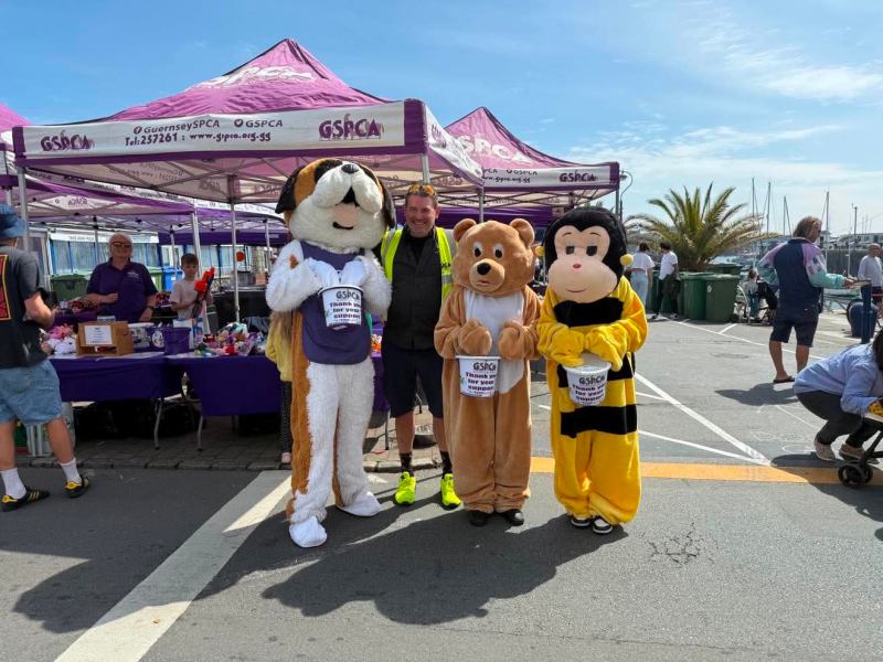 Some people dressed up as mascots in front of a charity stand at an outdoor event.