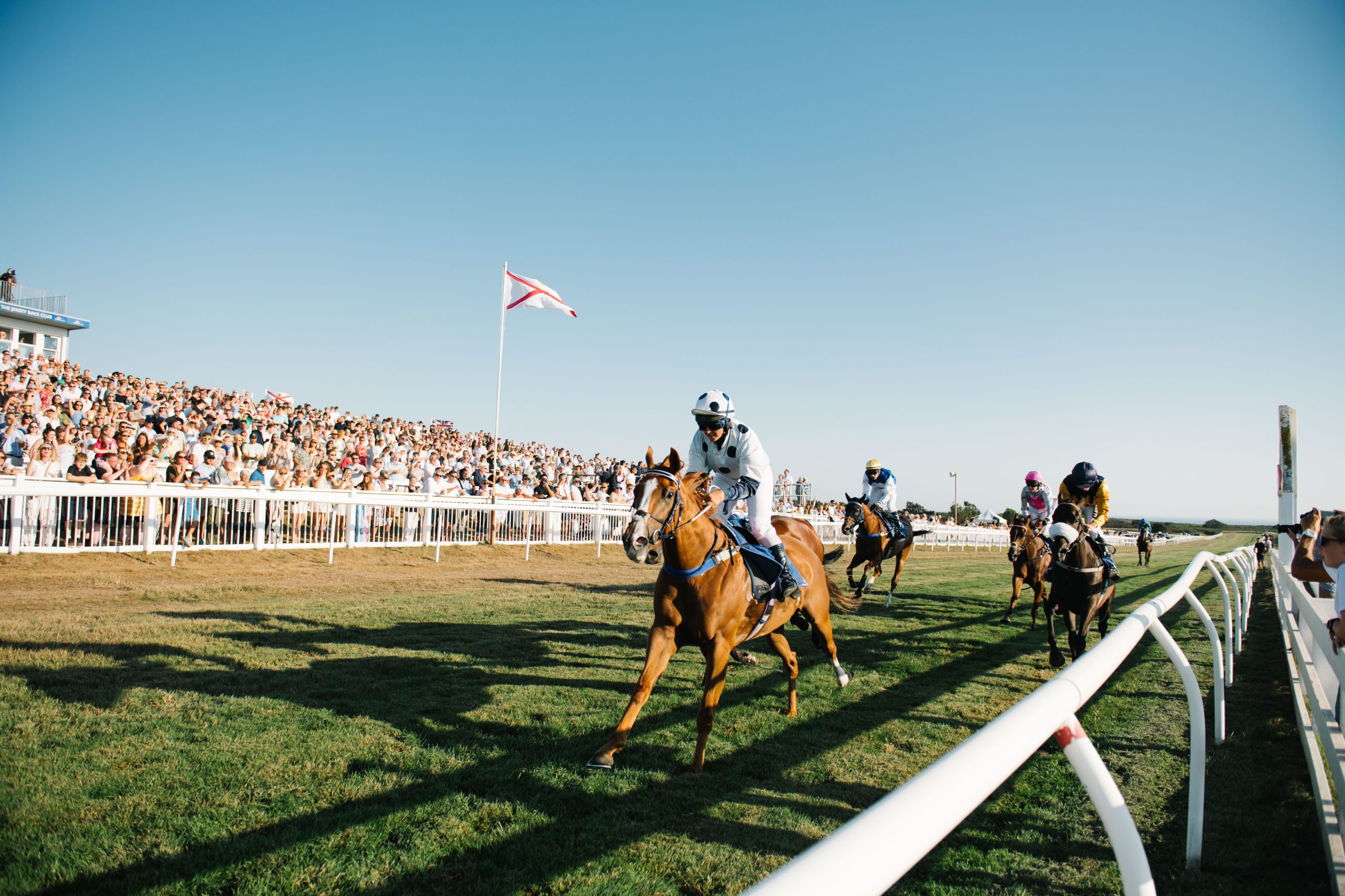 Race evening marred by death of Jersey's best racehorse - Bailiwick Express News Jersey