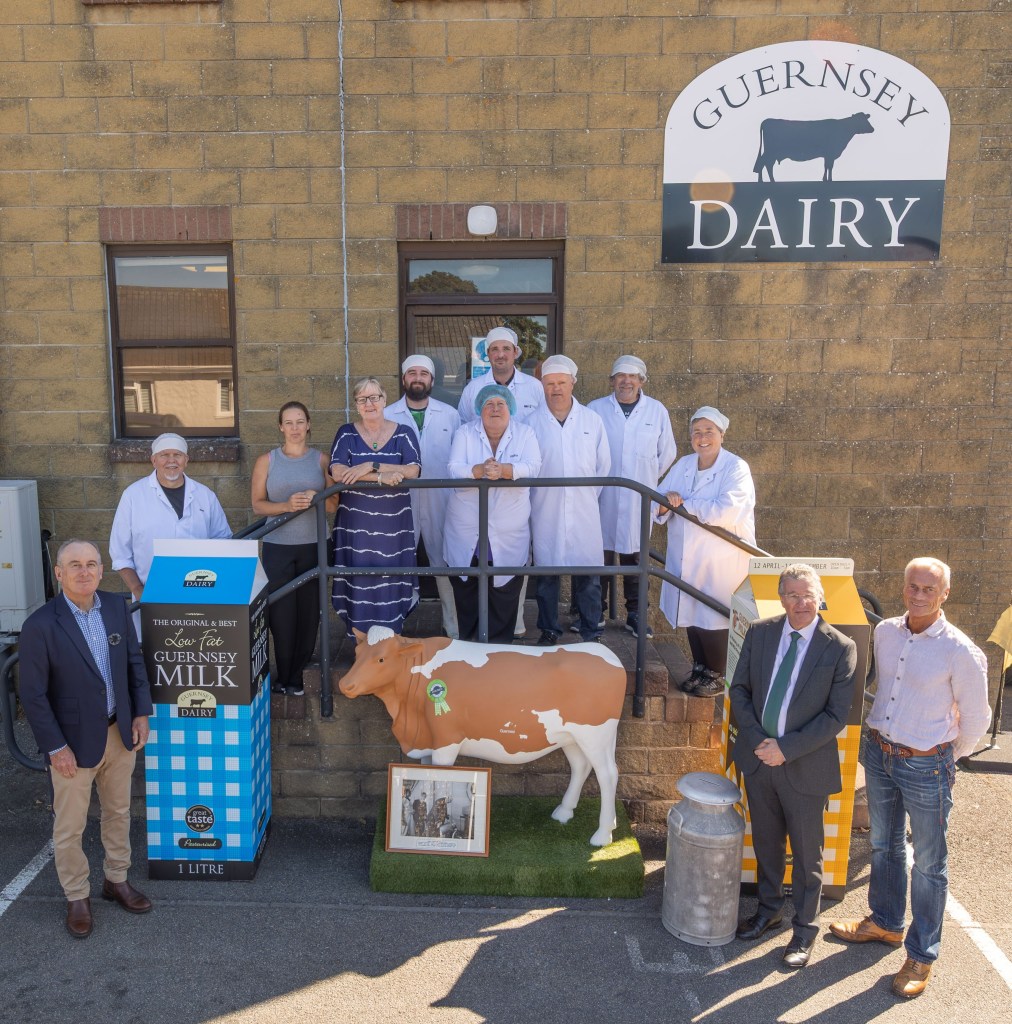 A-moo-zing! Happy 75th birthday Guernsey Dairy