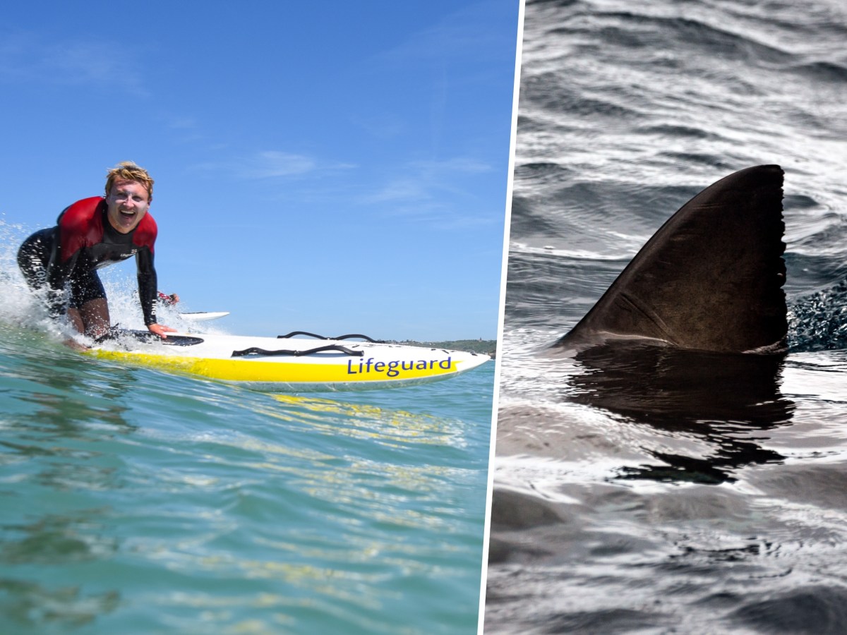 “We were like, ‘that’s a joke!'” – Lifeguard paddled over suspected shark minutes before beach closure