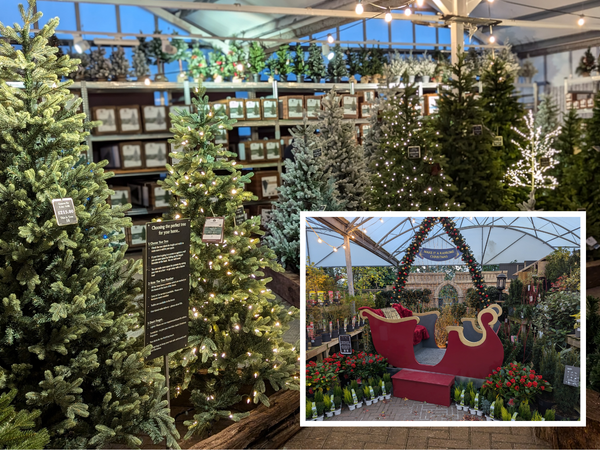 EXPLAINED: Why do shops start selling Christmas decorations in September?