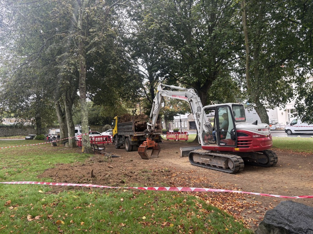 Planting for the future: Cambridge Park set for tree renewal