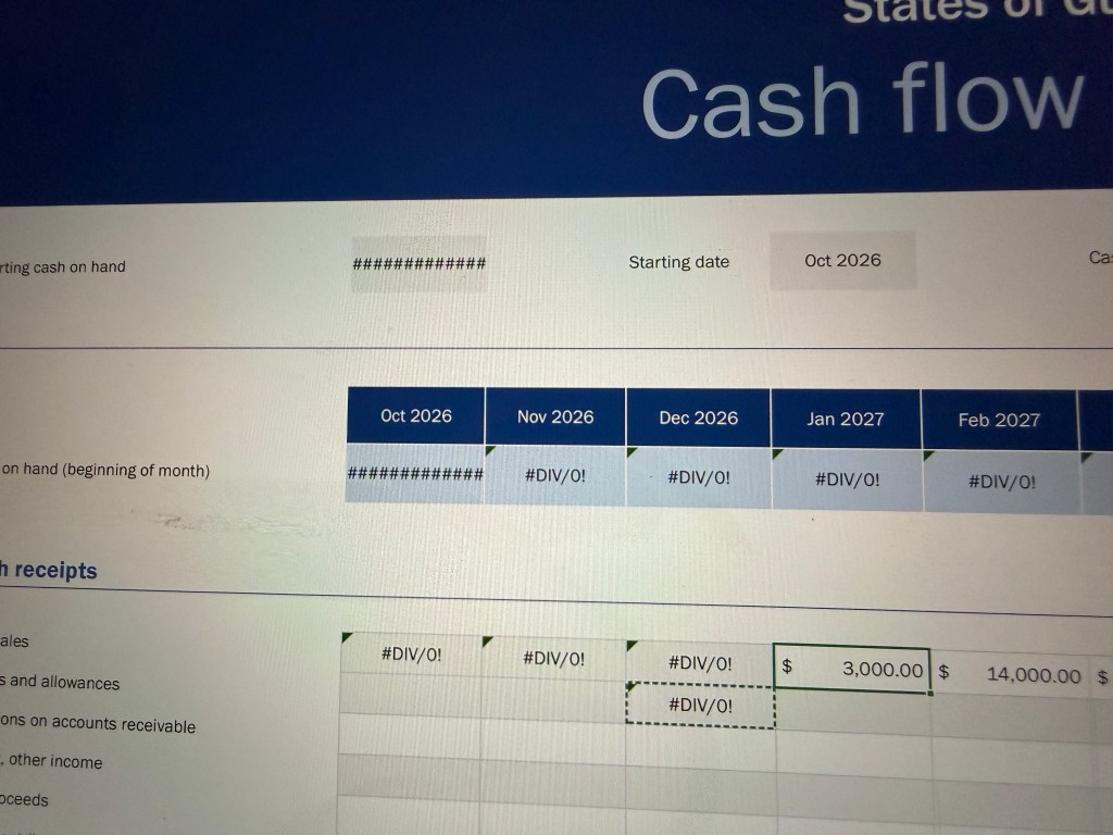 An Excel spreadsheet with errors in it.