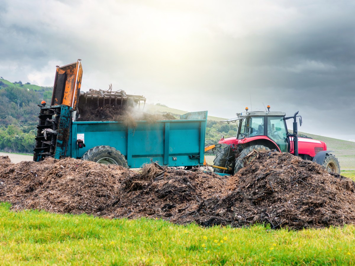 REVEALED: More than 100 Jersey fields where sewage sludge was used as fertiliser