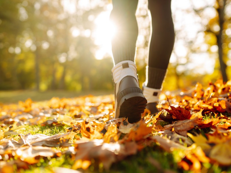 A close up of one persons legs walking over orange leaves with sunlight in the background