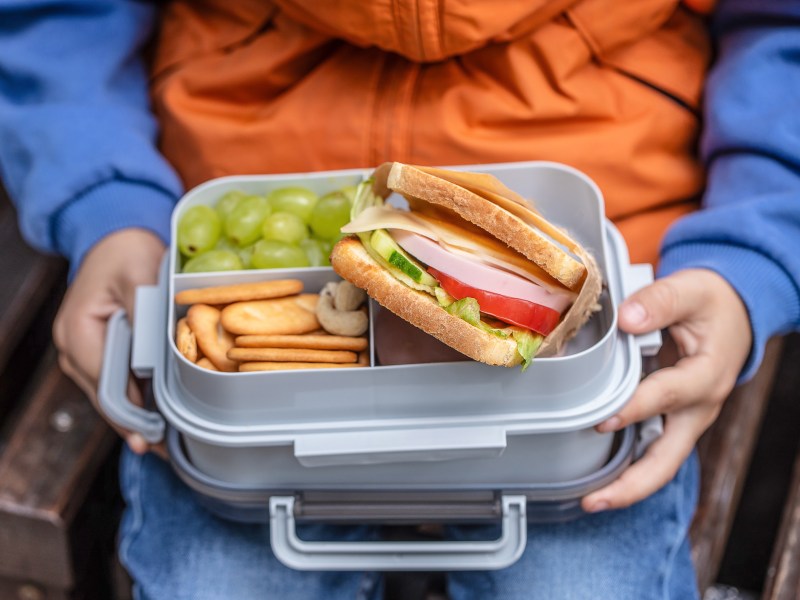 Child,Holding,A,Lunchbox,With,Sandwich,,Grapes,,And,Crackers.