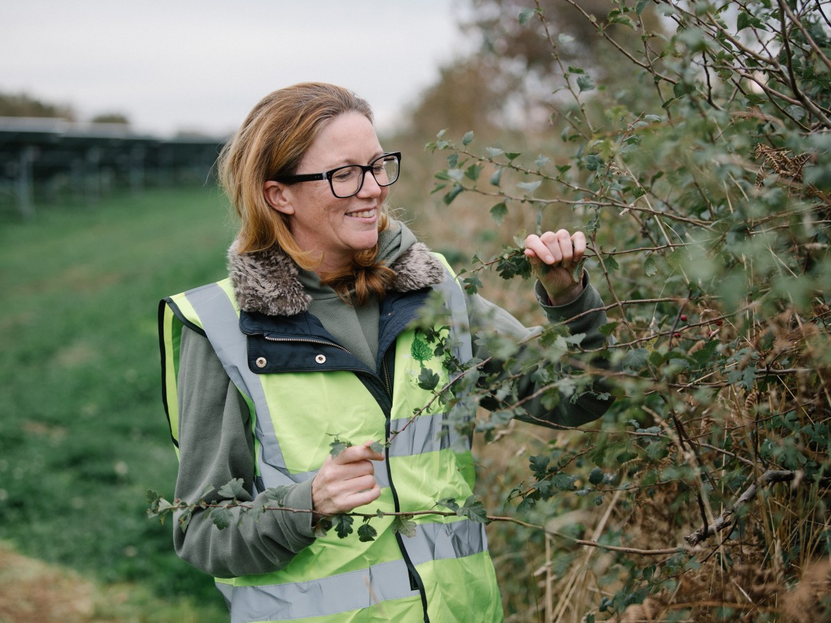 Nature is “not an optional extra”, charity warns over government priorities