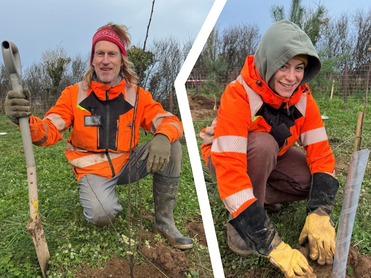 Jersey Trees for Life team skillset continues to grow