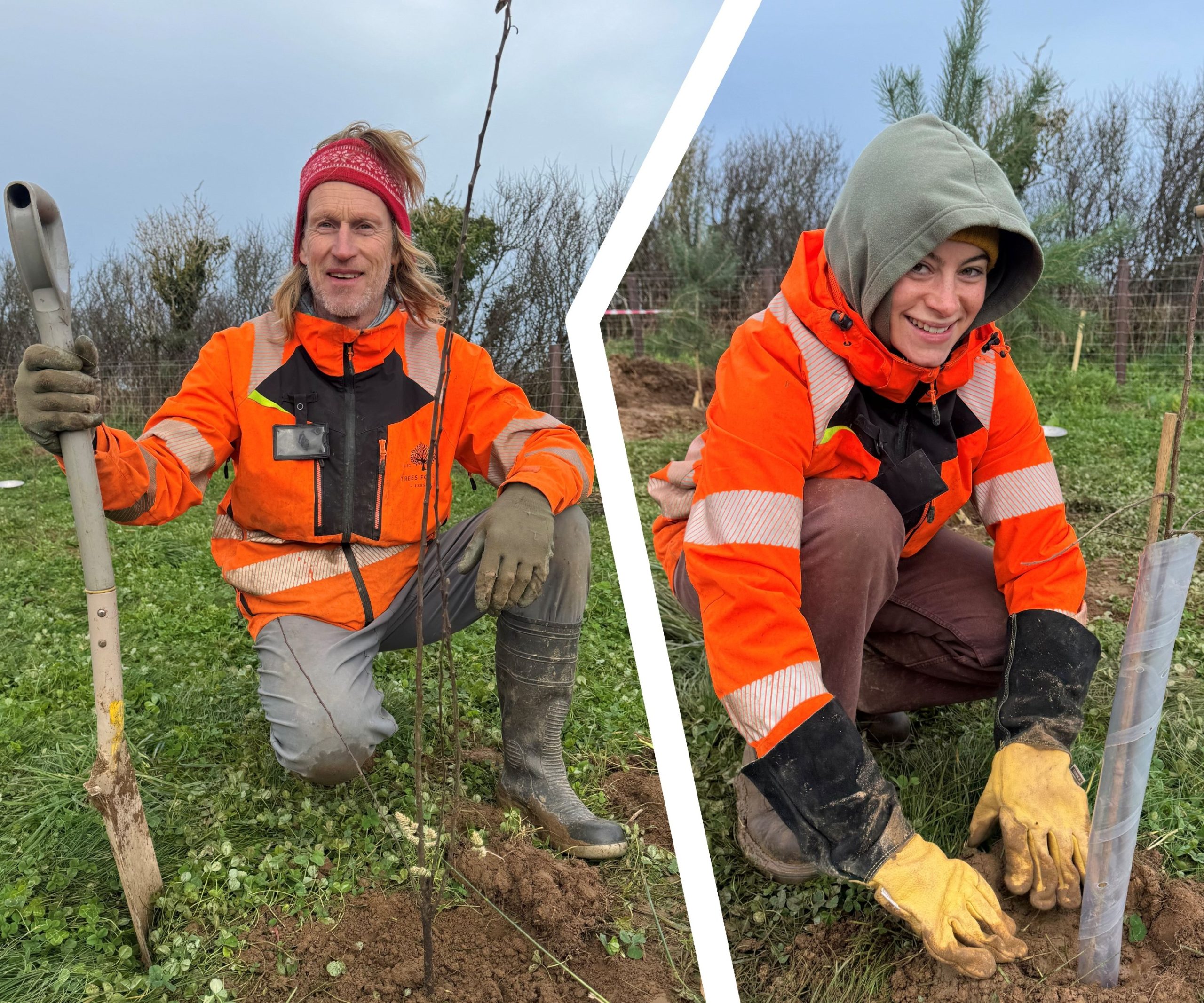 Jersey Trees for Life team skillset continues to grow - Bailiwick Express News Jersey