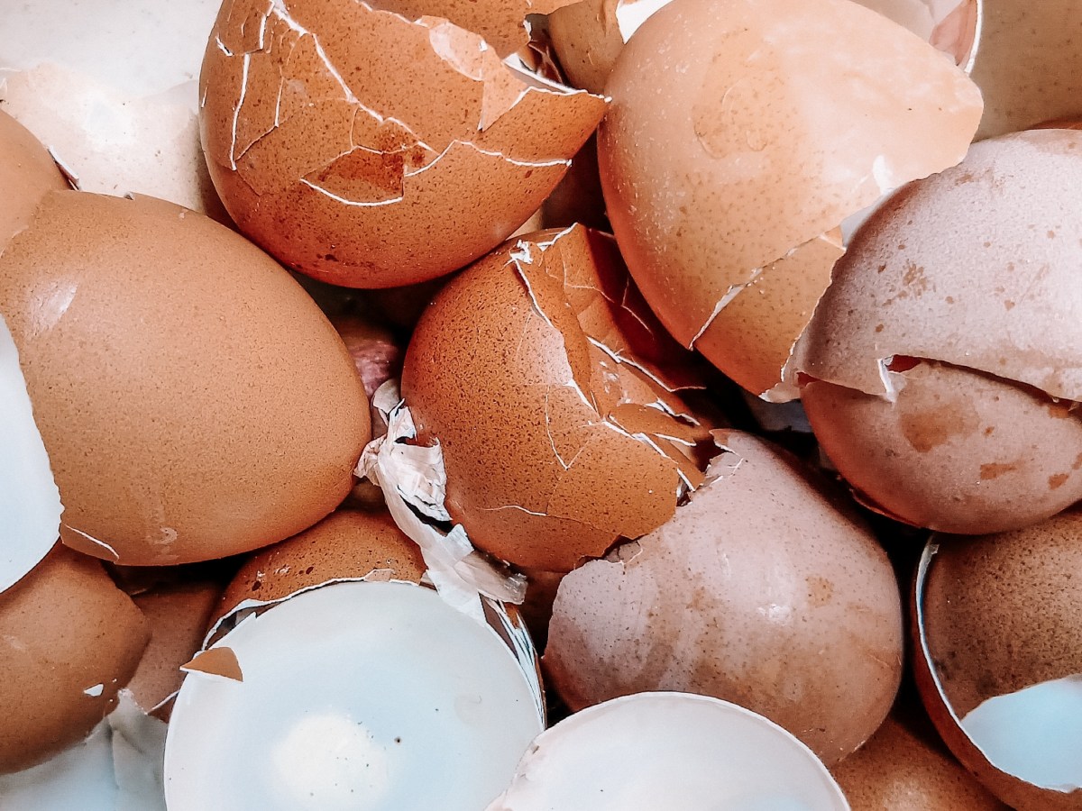 Cracking down: Extra police patrols after eggs thrown at homes, cars and buses